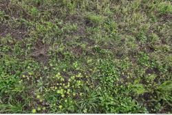 Photo of Mixed Textures